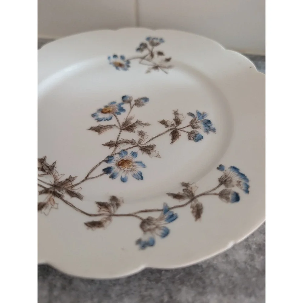 Haviland this elegant
